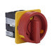 Rotary Main Disconnect Switch 3-phase 40A